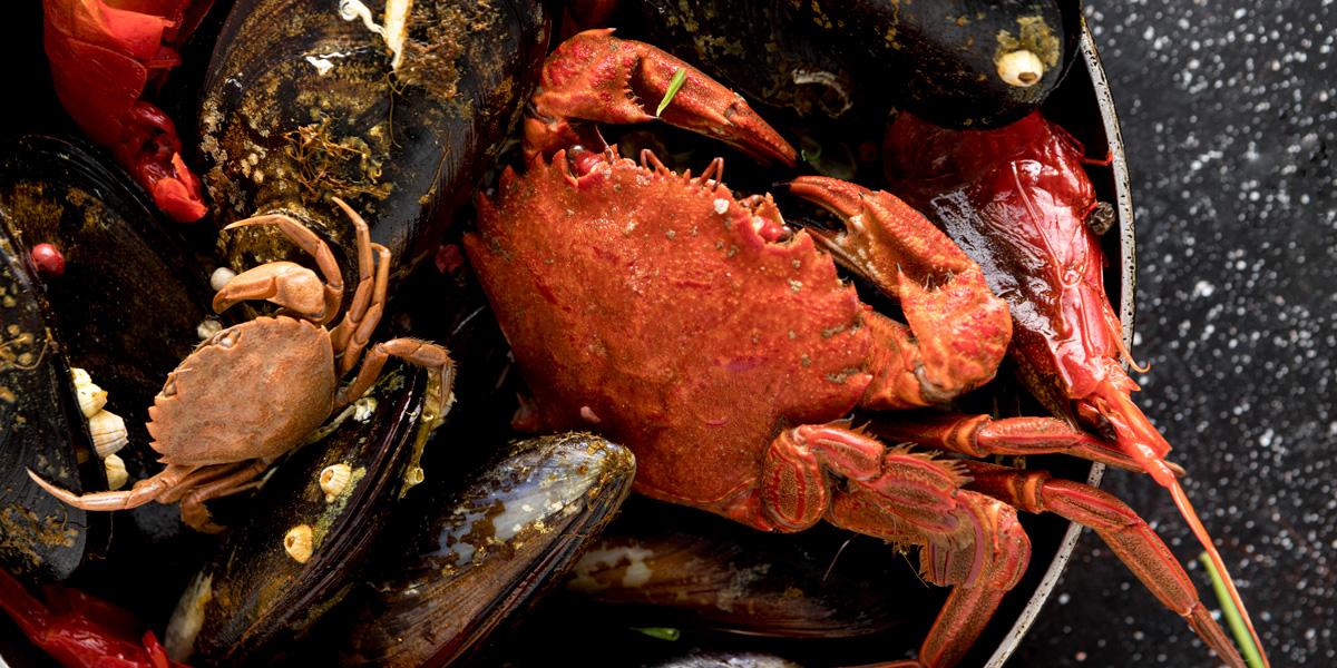 Viaje a Galicia, mayo ’26